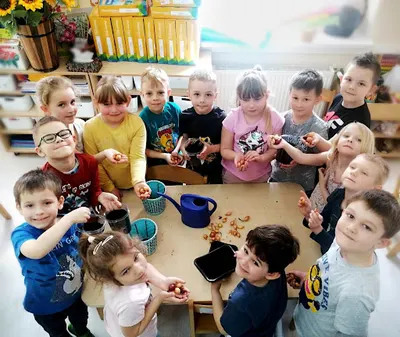 Vermilion - Niepubliczne Przedszkole Anglojęzyczne (First Steps in English) Piła